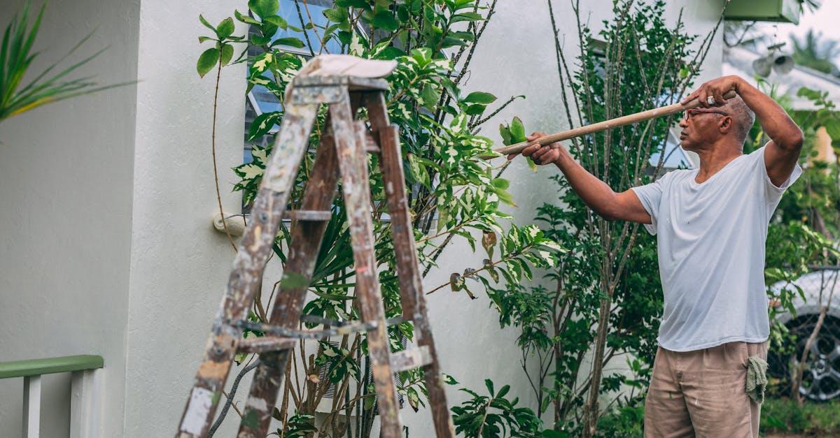 Wiosenna metamorfoza pergoli: cięcie glicynii krok po kroku dla spektakularnego kwitnienia